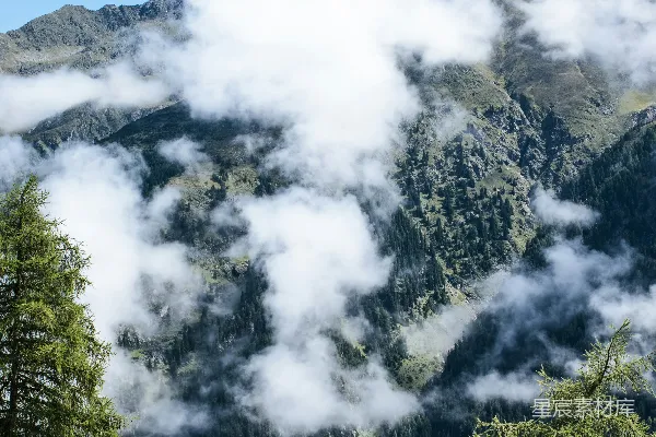高清摄影 云雾缭绕的山间森林