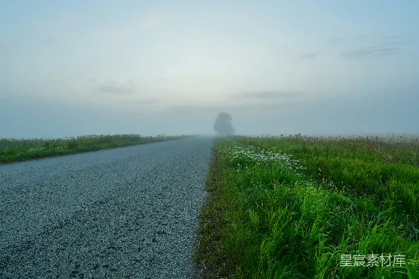 高清摄影 雾中乡间小路