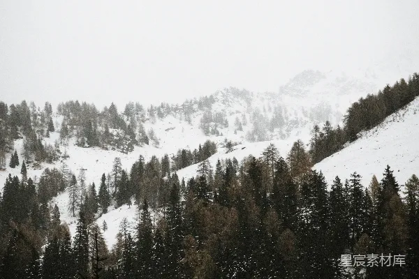 高清摄影 雪中的森林与山脉