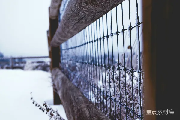 高清摄影 冬日雪景中的铁丝网