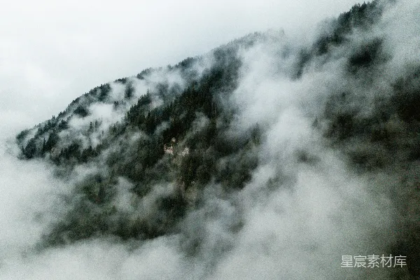 高清摄影 云雾缭绕的山林