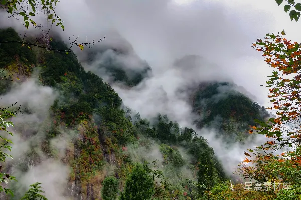 高清摄影 云雾缭绕的山林