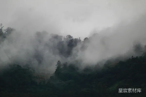 高清摄影 雾中的山林