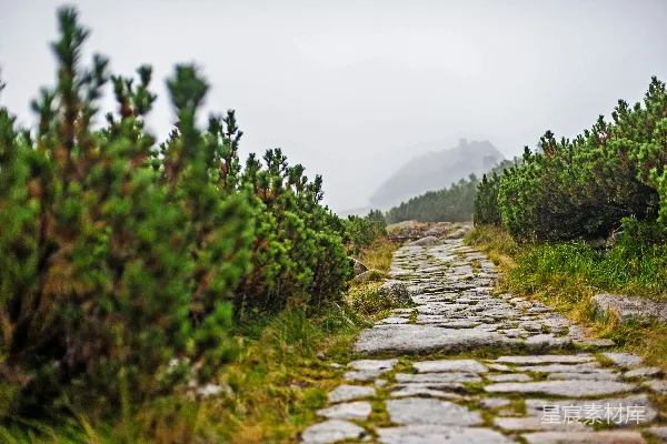 高清摄影 石径通幽，雾中山景