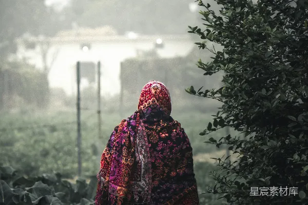 高清摄影 清晨的田野漫步