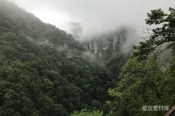 高清摄影 雾中森林