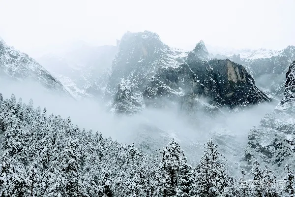 高清摄影 雪后雾中的山峰
