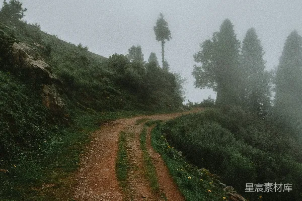 高清摄影 雾中蜿蜒的山路