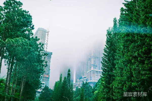 高清摄影 雾中城市与森林的和谐