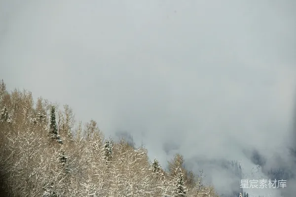 高清摄影 冬日山林雪雾