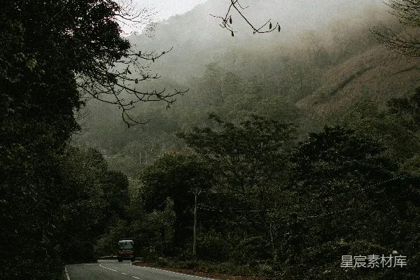 高清摄影 雾中的森林公路
