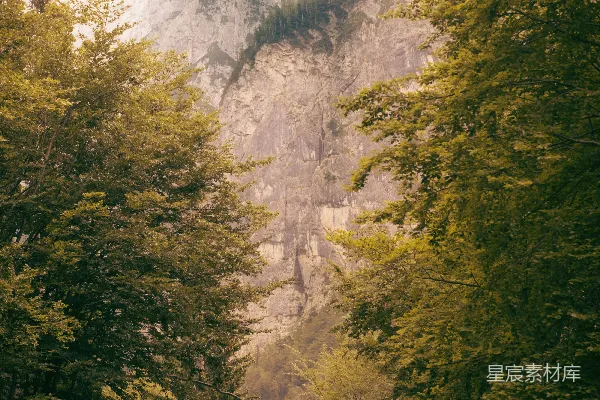 高清摄影 森林深处的山峰