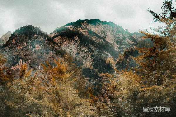 高清摄影 秋日山林