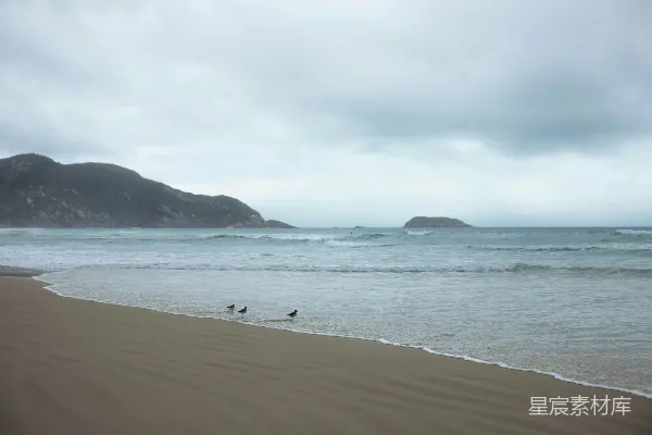 高清摄影 海浪中的宁静沙滩