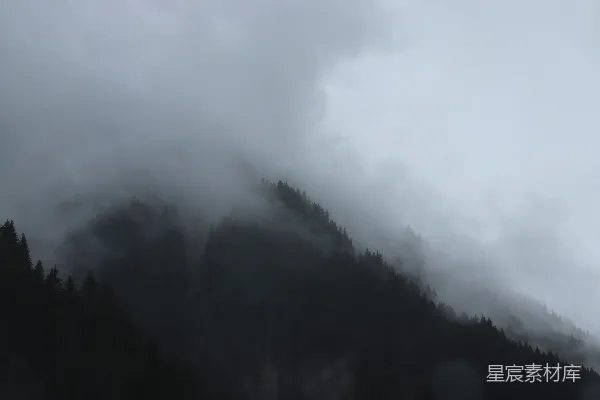 高清摄影 雾中森林