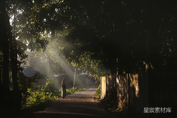 高清摄影 晨曦中的小径