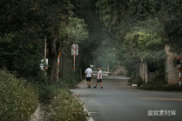 高清摄影 林荫小道上的漫步