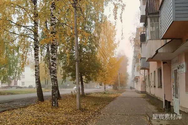 高清摄影 秋日雾中的街道