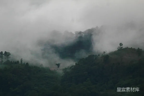 高清摄影 雾中的山林