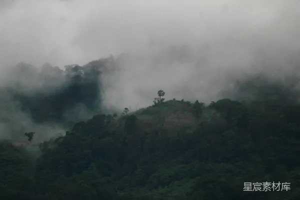 高清摄影 雾中的山丘