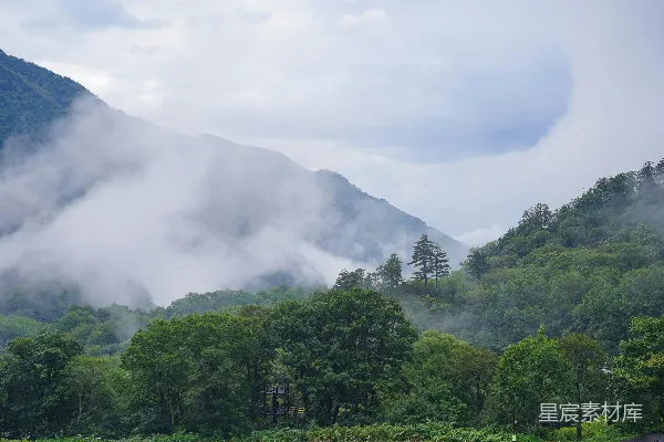 高清摄影 雾中青山