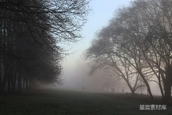 高清摄影 雾中的寂静公园