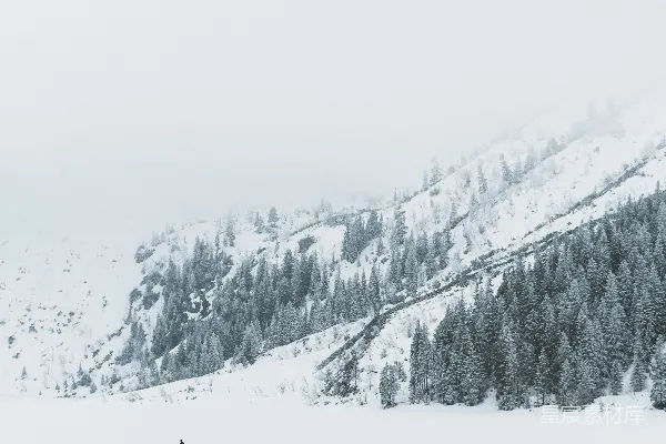 高清摄影 雪中的孤独身影