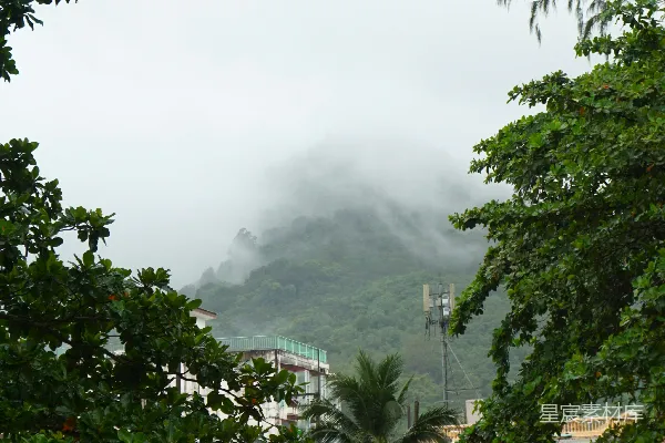高清摄影 ```json {   title: 雨后山城的宁静景象,   keys: [雨后, 山城, 宁静, 自然风光, 城市},   descs: 这张图片展现了雨后山城的宁静景象。画面中，郁郁葱葱的树木、