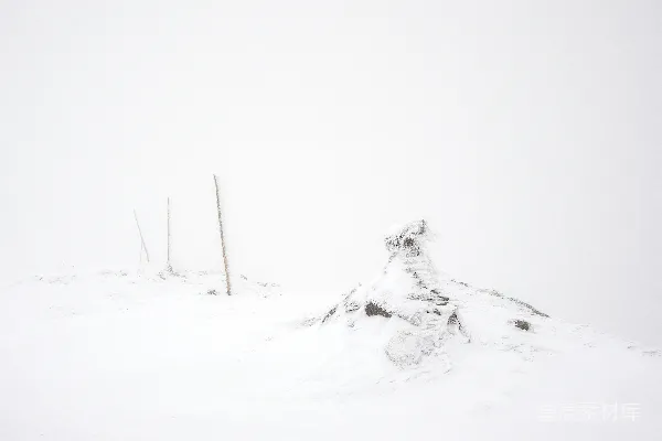 高清摄影 雪中的岩石与木桩