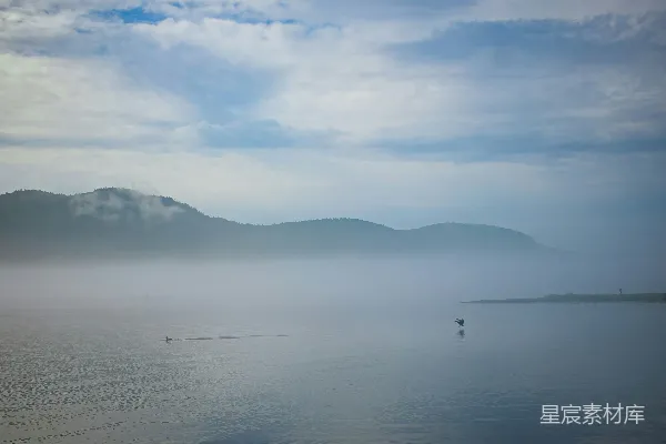 高清摄影 雾中湖面的宁静与自由