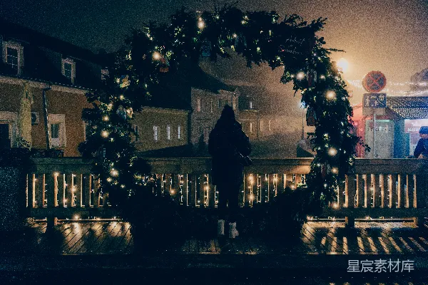 高清摄影 冬夜里的圣诞树