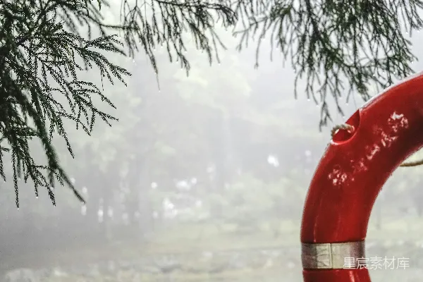 高清摄影 雨中松枝与红色救生圈