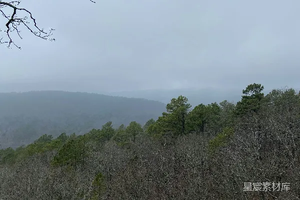 高清摄影 冬日山林