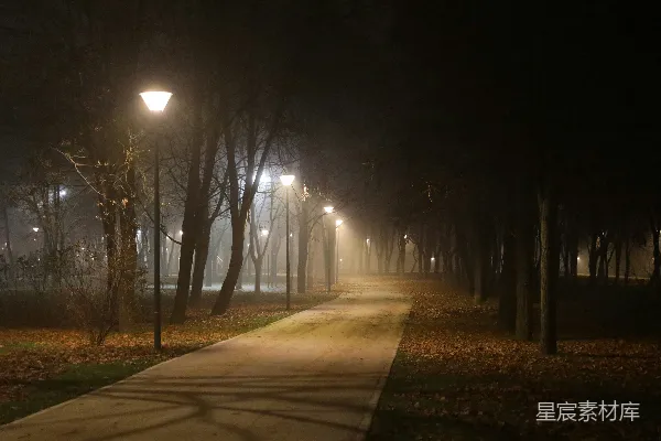 高清摄影 夜幕下的雾中公园