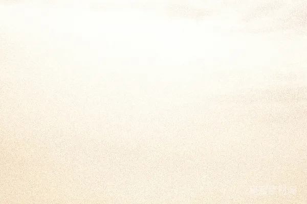 高清摄影 雾蒙蒙的海滩散步