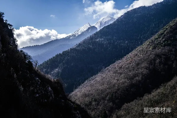 高清摄影 雪山下的森林