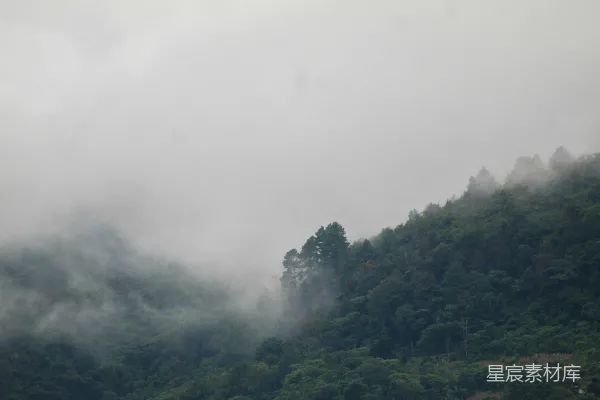 高清摄影 雾中森林