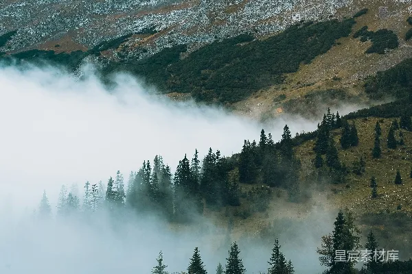高清摄影 雾中森林