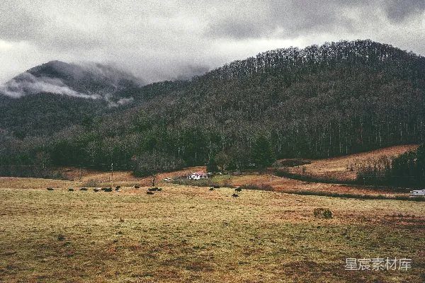 高清摄影 山间的宁静牧场
