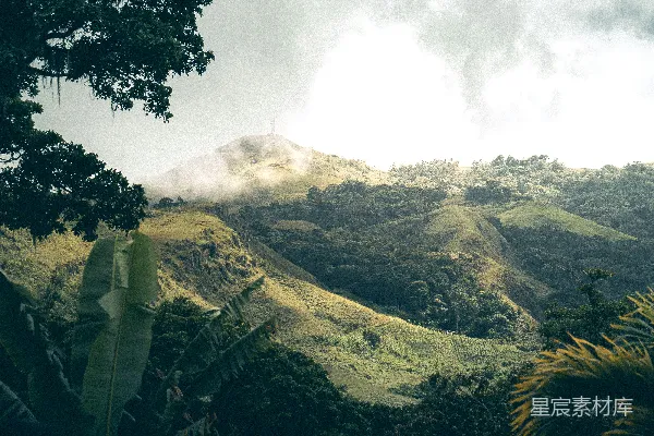 高清摄影 热带雨林与山峦