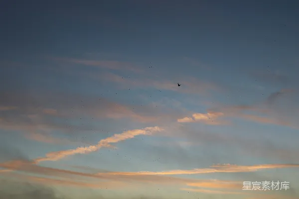 高清摄影 黄昏的天空与飞鸟