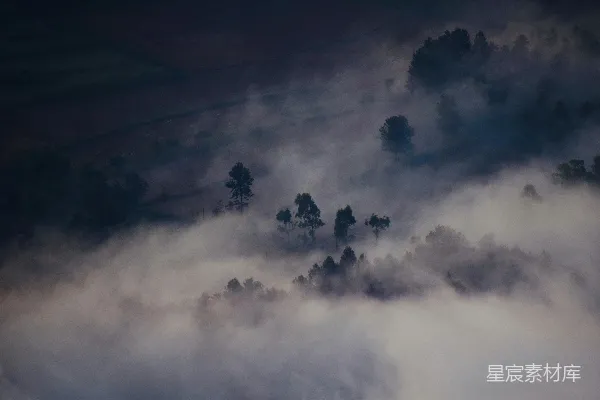 高清摄影 雾中森林