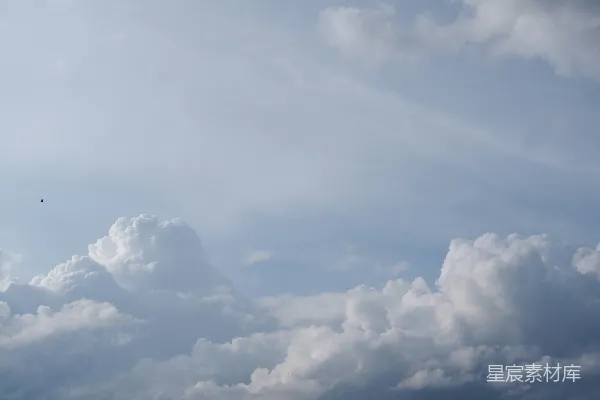 高清摄影 天空中的云与鸟