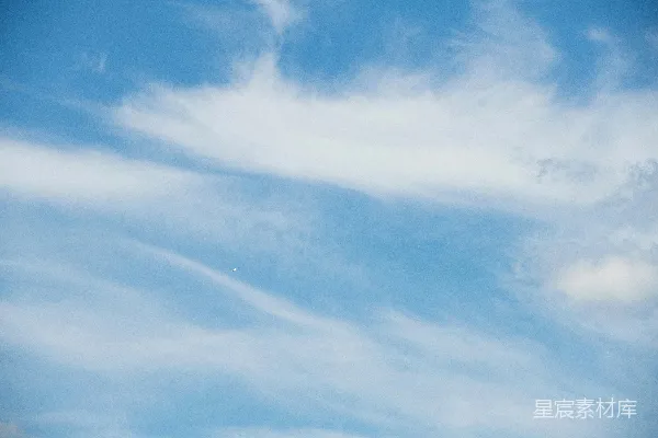 高清摄影 蓝天白云与飞翔的鸟