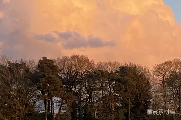 高清摄影 夕阳下的云海与森林