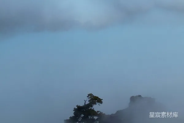 高清摄影 雾中孤松
