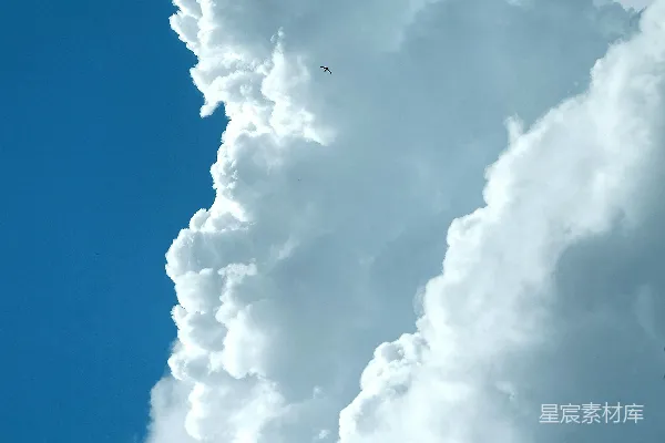 高清摄影 天空中的云朵与鸟