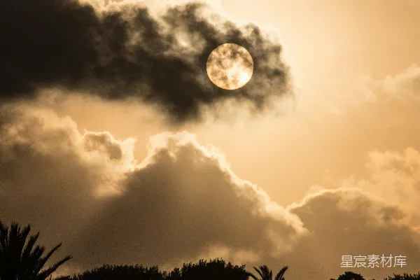 高清摄影 夕阳下的云海与棕榈树