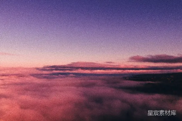 高清摄影 晨雾中的森林
