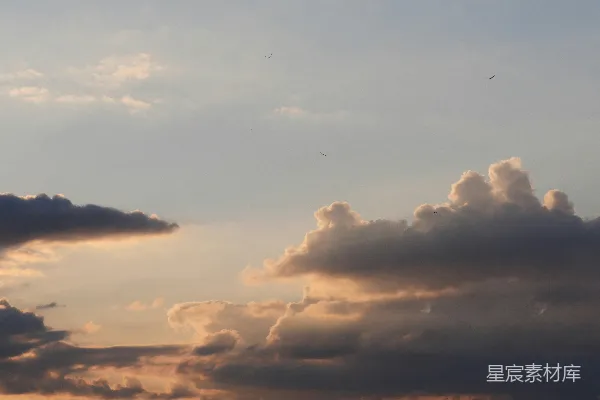 高清摄影 夕阳下的云与鸟